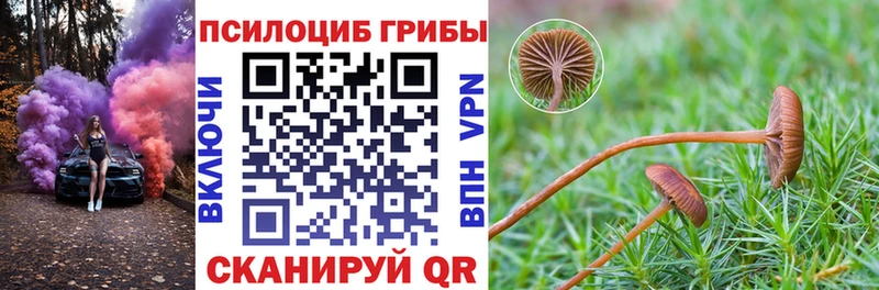 shop наркотические препараты  купить наркотики сайты  Обнинск  Псилоцибиновые грибы прущие грибы 