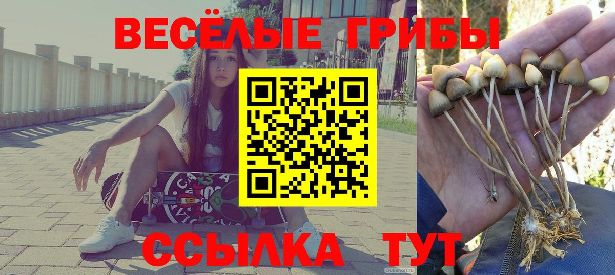 Галлюциногенные грибы GOLDEN TEACHER  Вход с VPN  Обнинск 