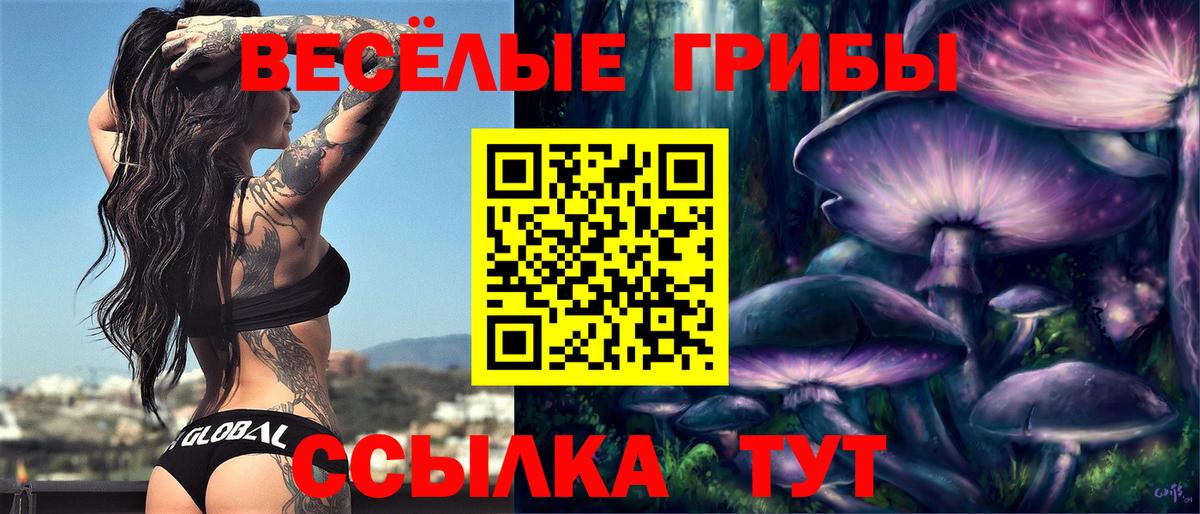Галлюциногенные грибы MAGIC MUSHROOMS Обнинск